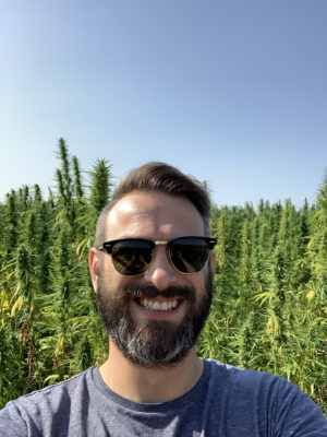 Cannabis Anbau Canitat M