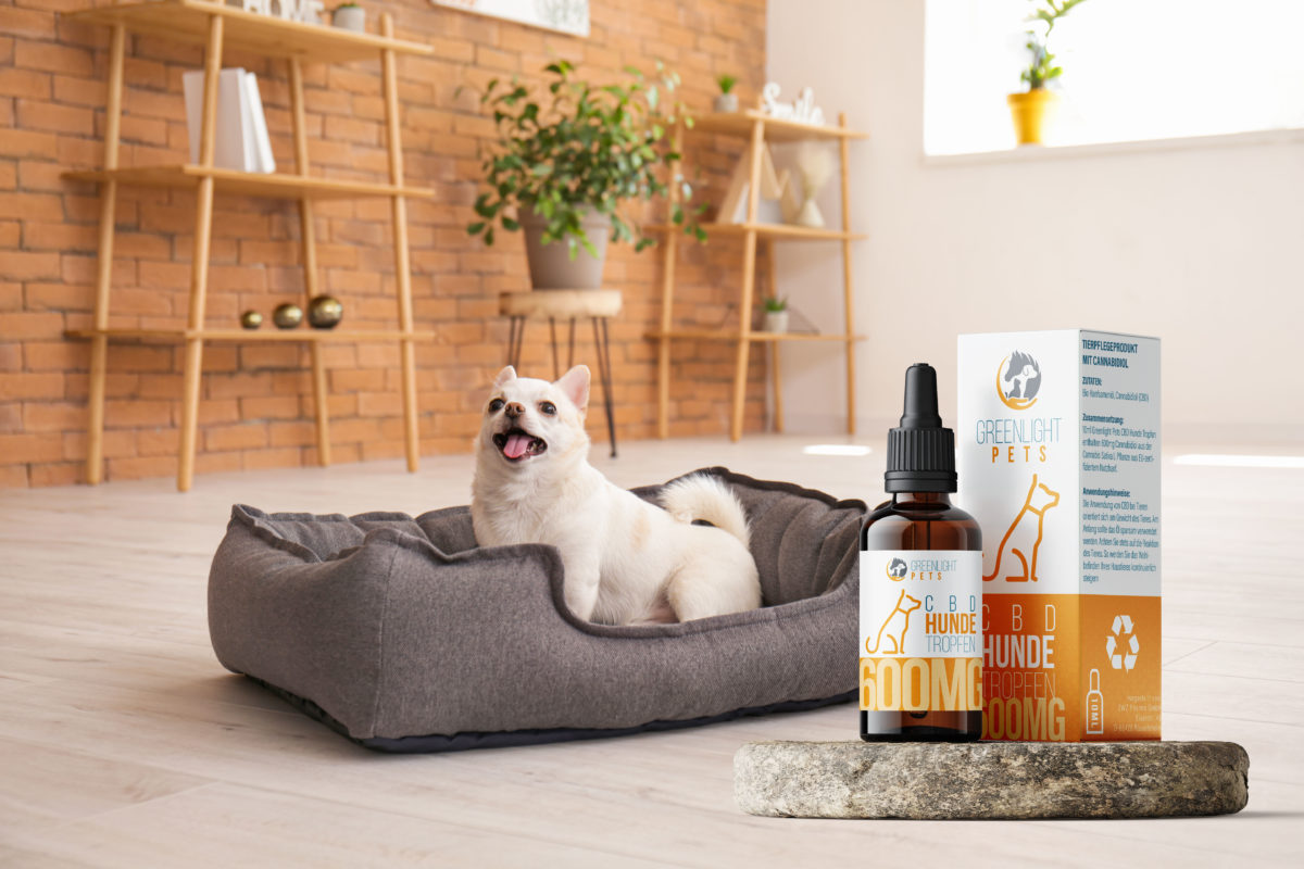CBD Hundetropfen Werbung