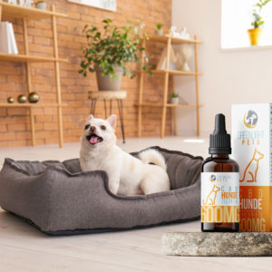 CBD Hundetropfen Werbung