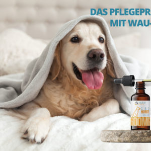 CBD Hundetropfen Werbung