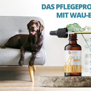 CBD Hundetropfen Werbung