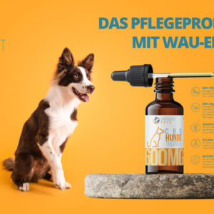 CBD Hundetropfen Werbung