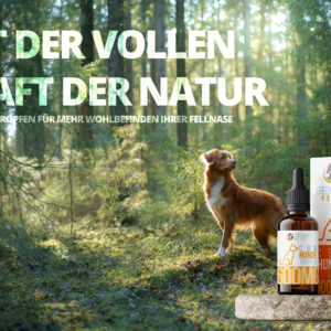 CBD Hundetropfen Werbung