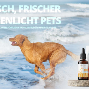 CBD Hundetropfen Werbung