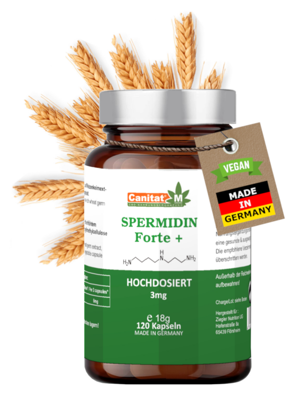 Spermidin Forte