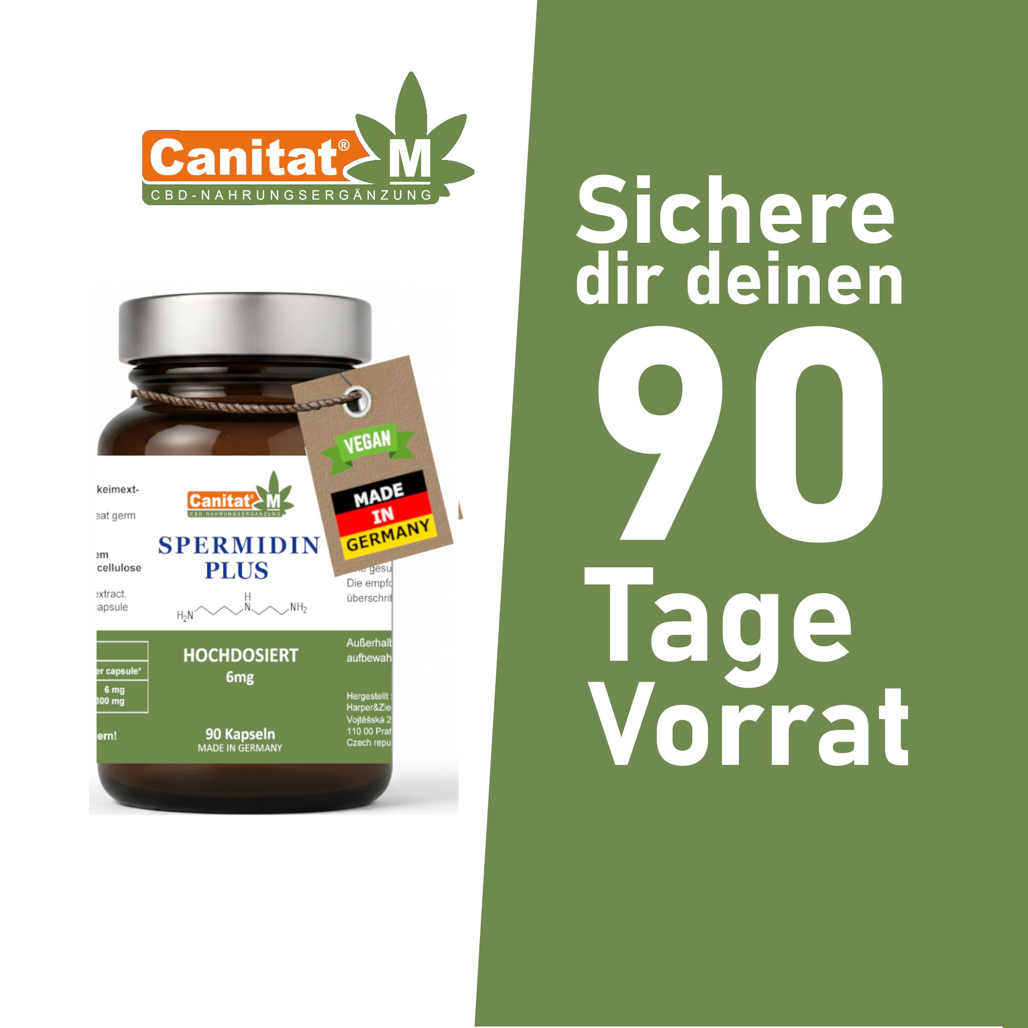 Spermidin Plus Kapseln 6mg | CANITAT M | 90 Kapseln | Hochdosiertes Spermidin aus Weizenkeimextrakt – Bild 4