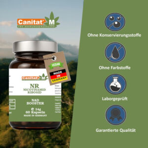 Nicotinamid Ribosid NR Kapseln - NAD+