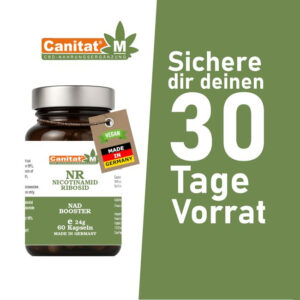Nicotinamid Ribosid NR Kapseln - NAD+