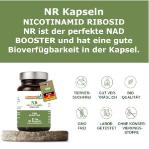 Nicotinamid Ribosid NR Kapseln - NAD+