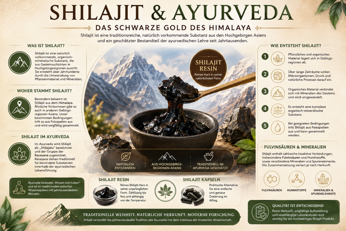 shilajit gummies